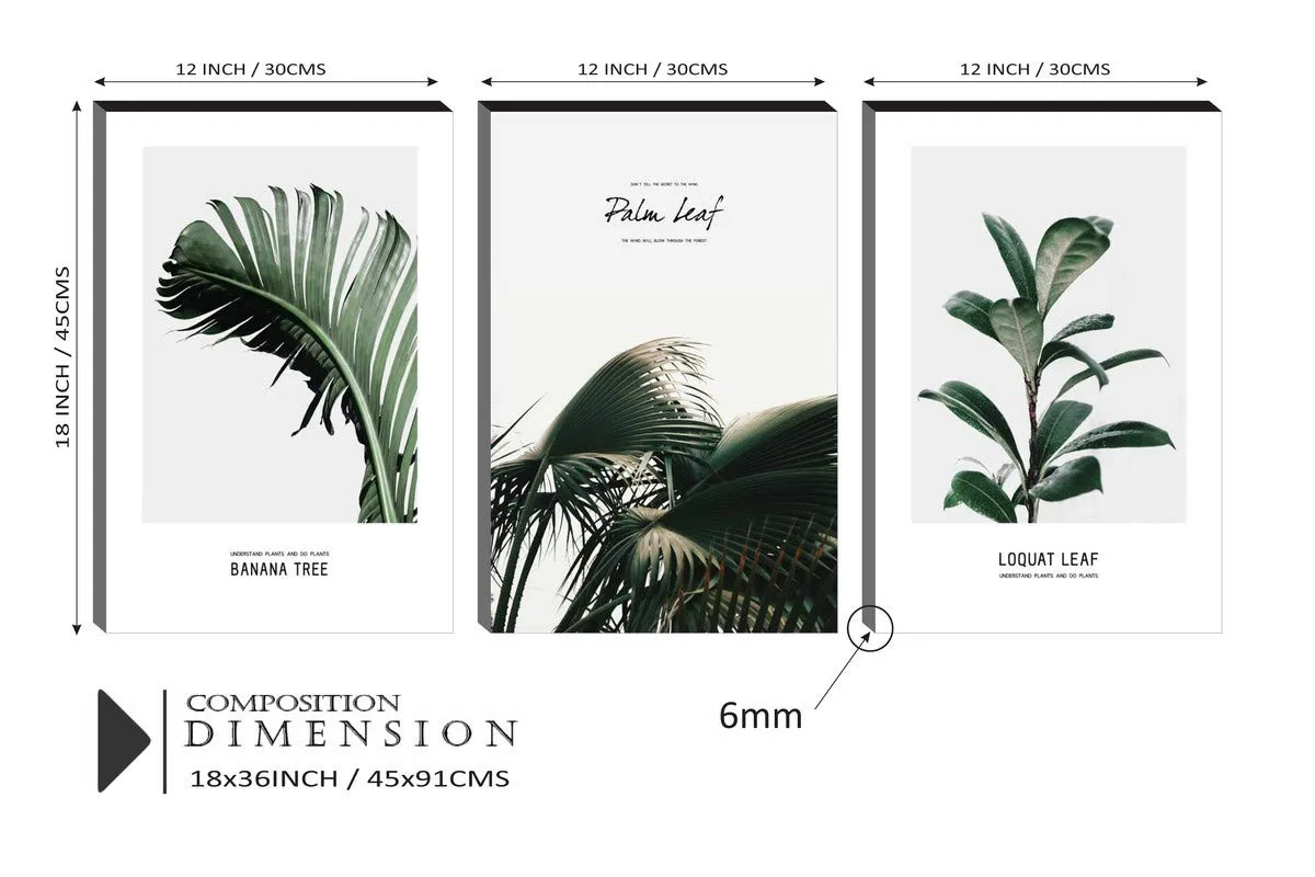 SAF paintings 6MM MDF Banana Leaf and Palm Leaf and Loquat laef in Nature Self Adeshive Painting (12 Inch X 18 Inch Each Painting, Self Installation, Multi-Effect, UV Textured) AANFSXA035