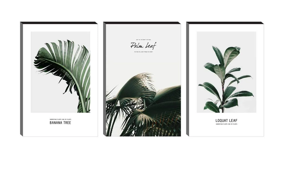 SAF paintings 6MM MDF Banana Leaf and Palm Leaf and Loquat laef in Nature Self Adeshive Painting (12 Inch X 18 Inch Each Painting, Self Installation, Multi-Effect, UV Textured) AANFSXA035